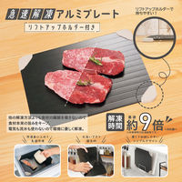 カクセー 急速解凍アルミプレート リフトアップホルダー付 QK-01 1個（直送品）