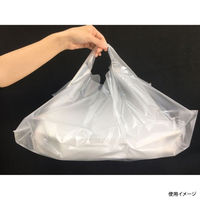 レジ袋 バンバンバッグ PIZAバンバン No.10 ナチュラル無地 半透明 00648935 1ケース(1500個(100個×15))（直送品）