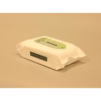 タケックス・ラボ ウェットティッシュ タケックスウェットワイパー 50枚 0726 1ケース(40個)（直送品）