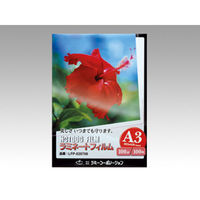 ラミーコーポレーション パックラミネートフィルム A3 00304912 1袋(100個)（直送品）