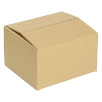 ヒラダン ダンボールS-1 JAN付 00400645 1袋(10個)（直送品）