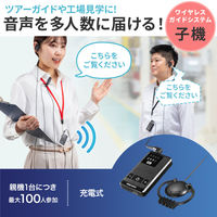 サンワサプライ ワイヤレスガイドシステム（子機） MMーWGS5R 1個