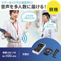 サンワサプライ ワイヤレスガイドシステム（親機） MMーWGS5T 1個