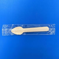 ホウケン産業 使い捨てスプーン 木製 ウッドスプーン95 単袋 PPピロー包装 605557 1ケース(10000個(100個×100))（直送品）