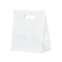パックタケヤマ 紙手提袋 イーグリップ LL 白無地 XZT52024 1袋(50個)（直送品）