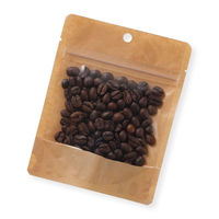 ベリーパック チャック付き袋 CH-5 片面クラフト袋チャック付 茶 1ケース(2000個(50個×40))（直送品）