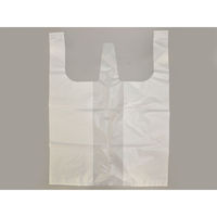 リュウグウ レジ袋 SDバッグ No.8-W(白) 4201518 1袋(50個)（直送品）