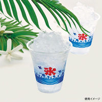 日本デキシー かき氷カップ 14ペットカップかき氷 GPPM14HZ 1袋(50個)（直送品）