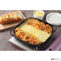 パール金属 調理器具 スプラウト 鉄鋳物製グリルプレート24×24cm(フラット) HB-6219 1袋（直送品）