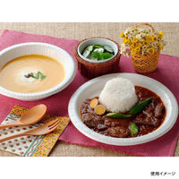 日本デキシー 紙皿 新スーパープレート 17cm 25枚入 KPL257SW 1袋(10個)（直送品）