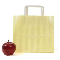 パックタケヤマ 紙手提袋 平紐手提袋 H平24 クリスタル イエロー 69109 1ケース(200個(50個×4))（直送品）