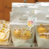 ヘッズ ラメールジップ付バッグーＸＳ冷凍可（３０枚） LMR-NZXS 1セット(1袋(30枚入)×20)