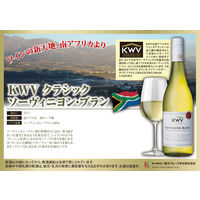 【サクラワインアワード ゴールド】南アフリカ クラシックコレクション SB 白ワイン 辛口 750ml 1本 国分