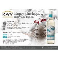 【サクラワインアワード ダイヤモンドトロフィー】南アフリカ ビッグビル SB 白ワイン やや辛口 750ml 1本 国分