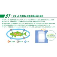 鮮度保持シート カシニーナ ピチットシート 大きめサイズ 25cm×35cm 1箱（2枚入）オカモト