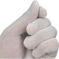 ウインセス WINCESS キュプラグローブ インナー用 (10双入) WS-6500 1袋(10双) 686-4470（直送品）