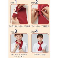 サーヴォ タイ ベージュ F AN8100-A3 1個（直送品）