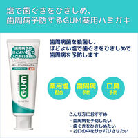 ガム デンタルペースト ソルティミント 150g サンスター GUM 歯磨き粉 原因菌を殺菌・除去 歯周病予防 口臭 塩