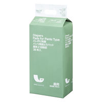 旧パッケージ在庫限り【大人用おむつ/パンツ用パッド/約2回分】アスクル×エルモアいちばんズレずに快適パンツ用尿とりパッド1箱（38枚入×6パック） オリジナル