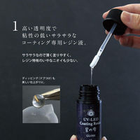 パジコ 星の雫 グロス 30g フロッキーチップ付き ノズル付き PDC403366 1個