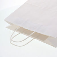 シモジマ 手提げ紙袋 25チャームバッグ 3才 E 晒白無地 003240210 1袋(50枚)