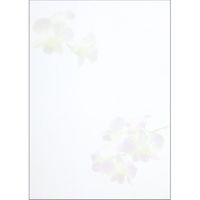 日本ノート 便箋 セン301 花妙 セミB5 40枚 SEN301 1冊