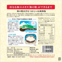 海の精　あらしお（赤ラベル）　760g 1個 塩　しお 天日 平釜 伝統海塩