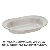 ストウブ Staub オーバルプレート カンパーニュ 25cm 1枚 セラミック カレー皿 陶器 電子レンジ対応 【日本正規販売品】40508-0（わけあり品）