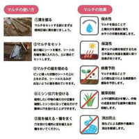 岩谷マテリアル フリーホールシート黒マルチ 0.02mmx950mmx50m 2496140001 1セット(2本)（直送品）