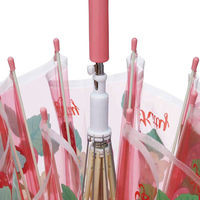 スケーター 傘 ビニール傘 55cm キャラクター KT花言葉 422403 1個（直送品）