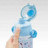 スケーター 水筒 580ml 超軽量ダイレクトボトル アナと雪の女王24 保冷専用 448197 1個（直送品）