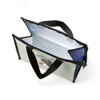 スケーター ランチバッグ 不織布保冷バッグ ピングー×松本セイジ 451935 1個（直送品）