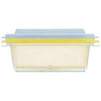 スケーター 保存容器 500ml エアー弁ふわっと保存容器 L おさるのジョージ ZOO 468619 1個（直送品）