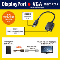 サンワサプライ  DisplayPort-VGA変換アダプタ AD-DPV06（直送品）
