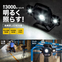 サンワサプライ  高輝度LED投光器（充電式） LED-FL1BK（直送品）