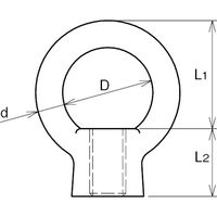 浅野金属工業 アイナット(インチねじ)/5/16 AK4576 1セット(10個)（直送品）