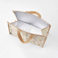 スケーター トートバッグ 不織布行楽トートバッグ ピーターラビット 462533 1個（直送品）