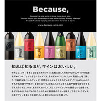 フランス ビコーズ アイムカベルネソーヴィニヨン フロム サザンフランス 赤ワイン フルボディ 750ml 1本 フィラディス