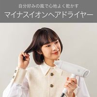 小泉成器 マイナスイオンドライヤー VSD-1242/WJ 1台