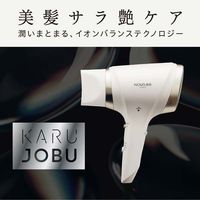 小泉成器 イオンバランスドライヤー KHD-9040/W 1台