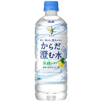 アサヒ飲料 アサヒ おいしい水 天然水 からだ澄む水 600ml 1箱（24本入）