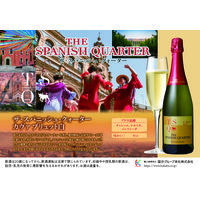 スペイン ザ・スパニッシュ・クォーター ブリュット 白 辛口 スパークリングワイン 750ml 1本 国分 カヴァ