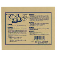 サンケイ商事 常備設置用クイックフリーズミニ（HE）1箱（30個入）