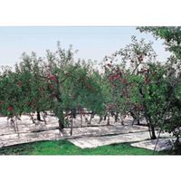 萩原工業 萩原 ターピー 強力アルミ反射クロス(有孔) アルミ/ナチュラル 1.5m×50m/R AHC-Y1550 1本 437-5529（直送品）