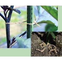 たくみ ジュート麻糸 太 3216 1個 198-3566（直送品）