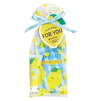 レモン プチギフト 1セット（1個×2） グローバルプロダクトプランニング