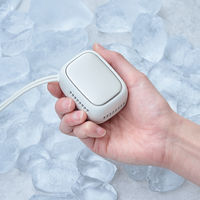 ライフオンプロダクツ アイスカイロ リリーホワイト LCAEA011-LW 1台