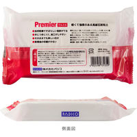 パジコ 石塑粘土 ラドールプルミエ 300g 日本製 303135 PDC3135 1個