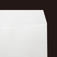 山櫻 大型封筒 特大04 ホワイトR40CoC 120 YAMA-9017-0056 1パック(100枚)