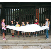 ペーパーインテリジェンス 長尺ロール和紙 950mm×50m巻 4101356チョウジャクロール 1巻（直送品）